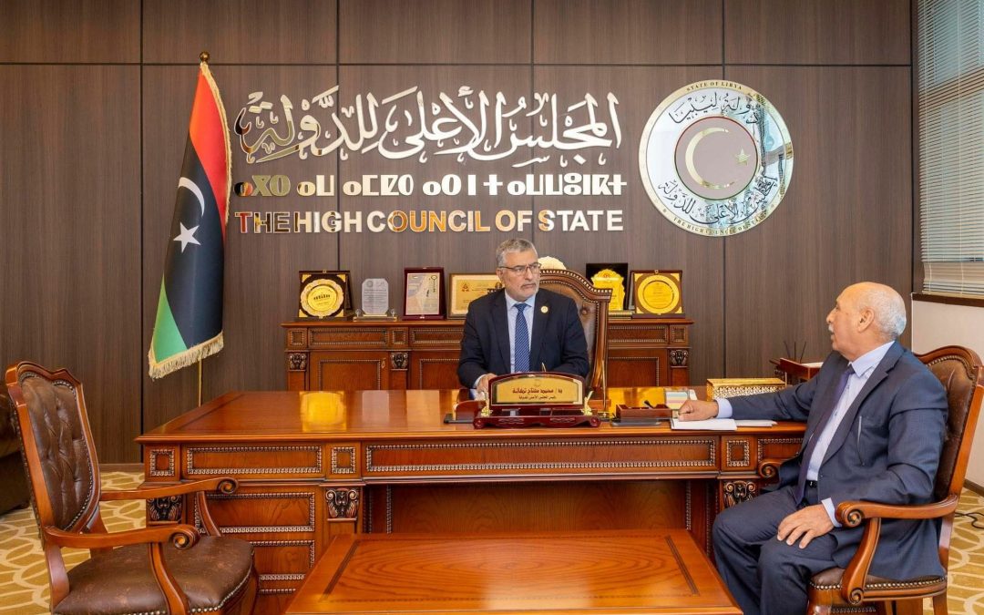 لقاء السيد رئيس المجلس الأعلى للدولة مع السيد مدير عام مدينة العلوم والتكنولوجيا